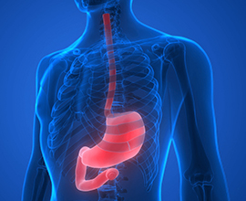Gastroscopy